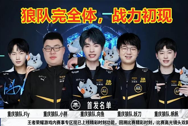 这种专业性
